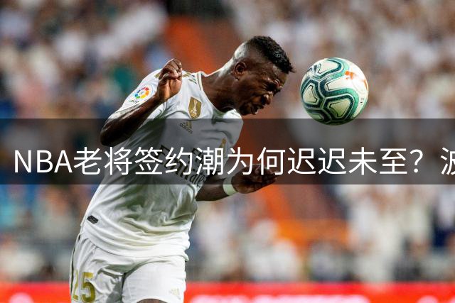 NBA老将签约潮为何迟迟未至？波什剖析自由市场反常现象